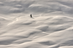 Lost in snow waves - Vittorio Ricci